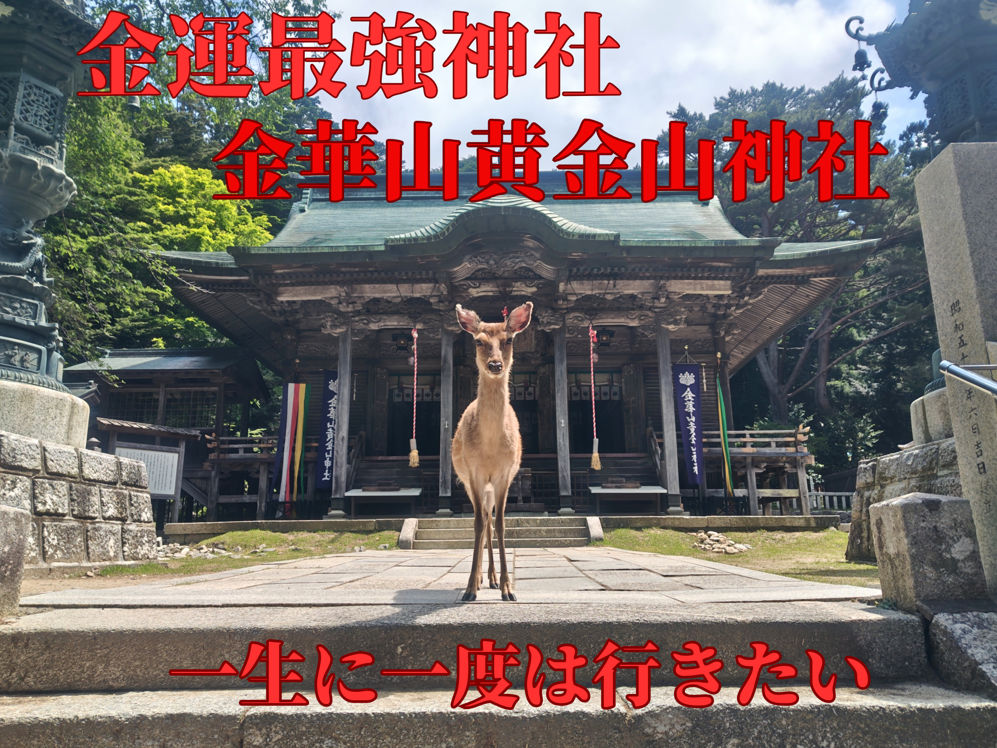 金華山・黄金山神社の社殿と境内が見える風景（宮城県石巻市の金運パワースポット）