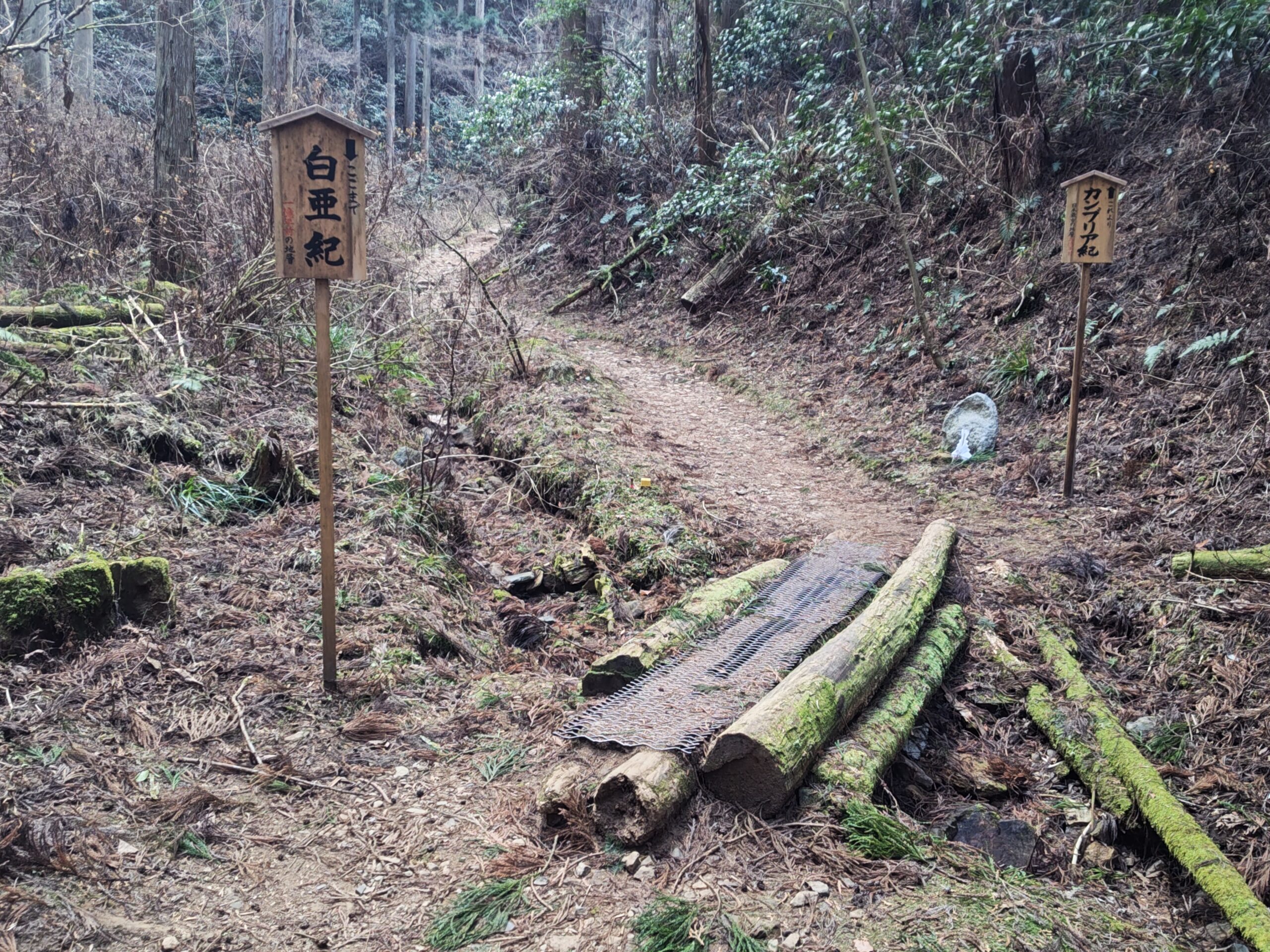 御岩神社の御岩山登山道の風景と山頂へ続く自然の道