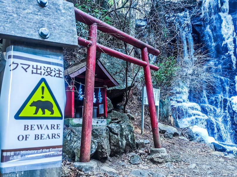 母の白滝凍結Q＆A