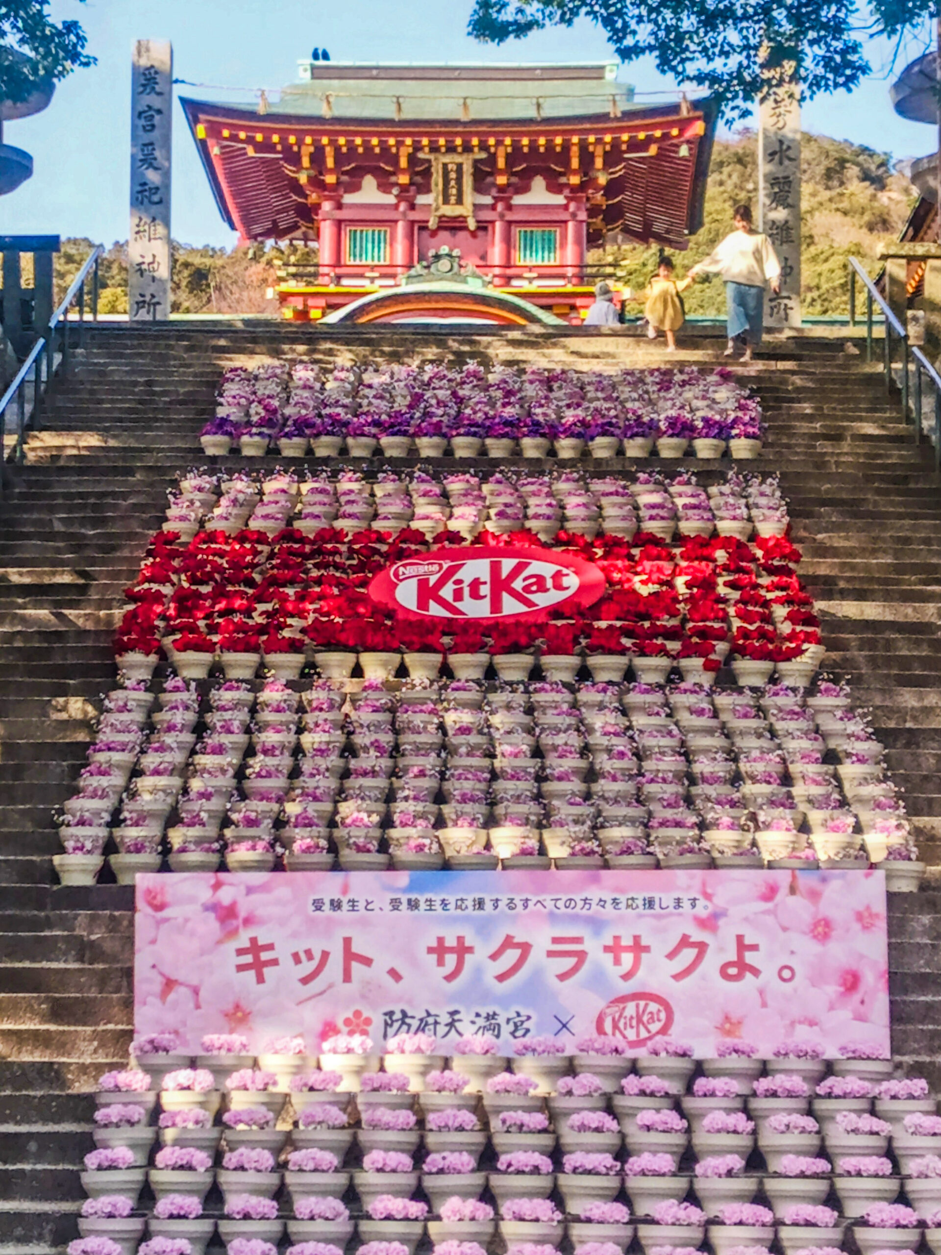防府天満宮 花回廊 山口県防府市