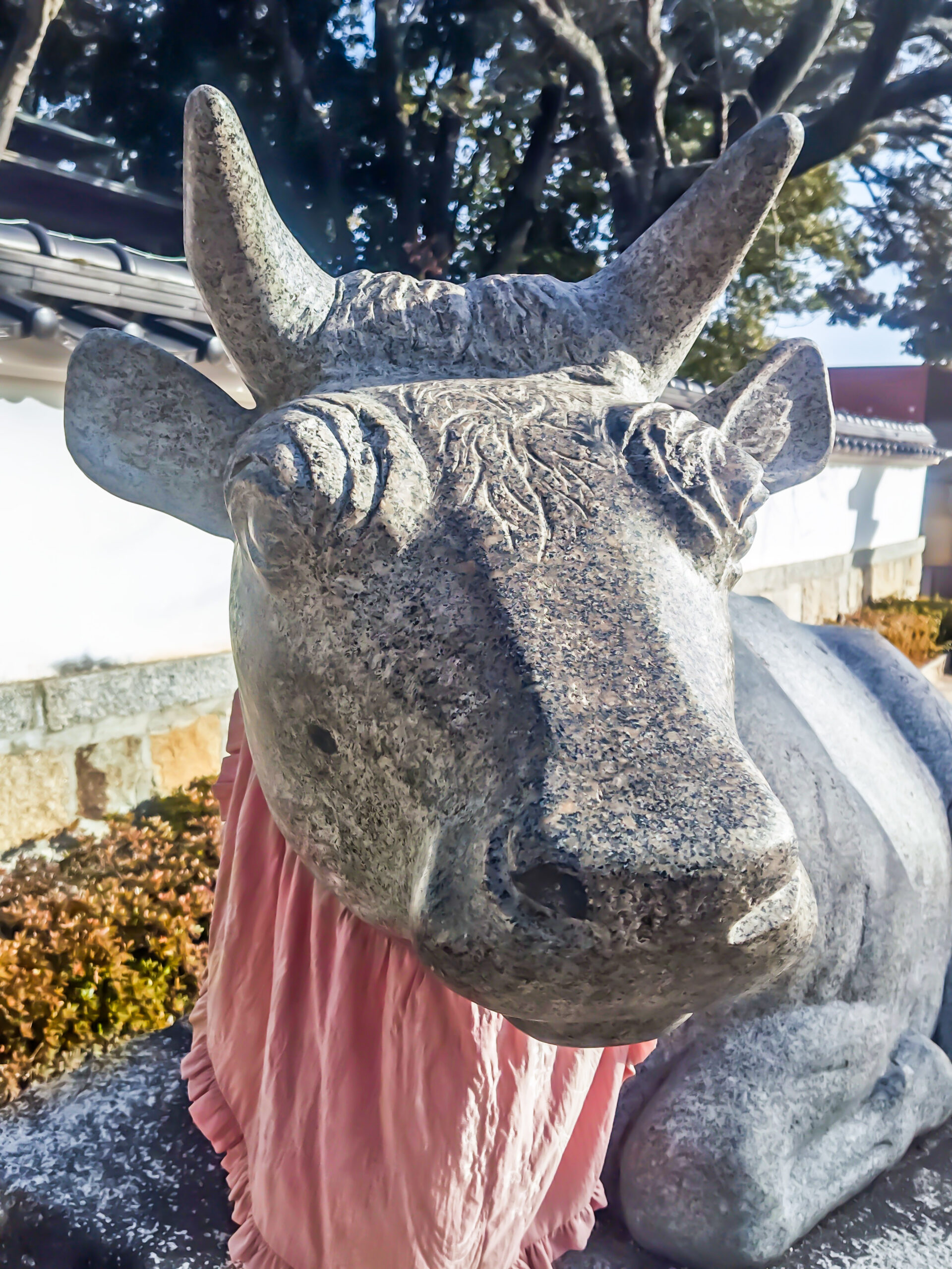 防府天満宮 夢叶う牛 山口県防府市