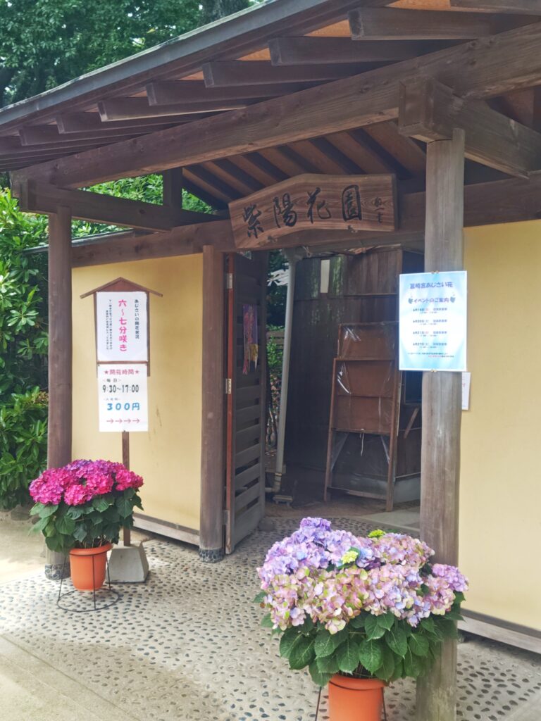 筥崎宮あじさい苑の入口