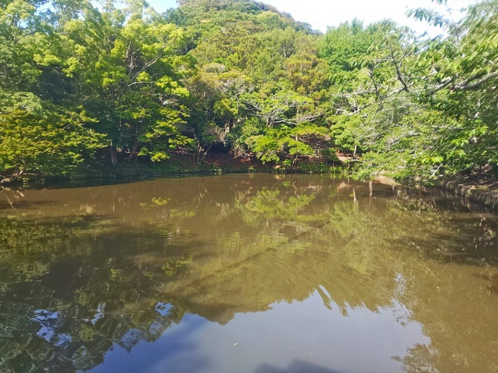 安房神社の参道右手に見える御手洗池