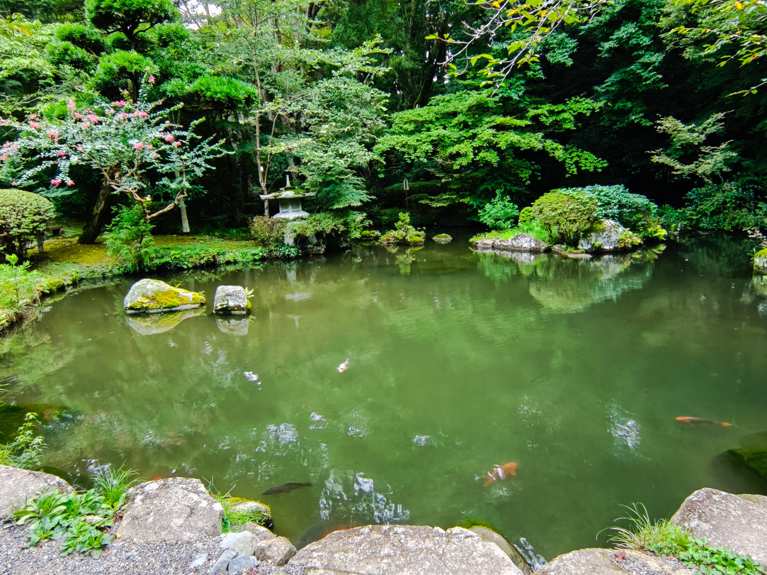 香取神宮境内の神池