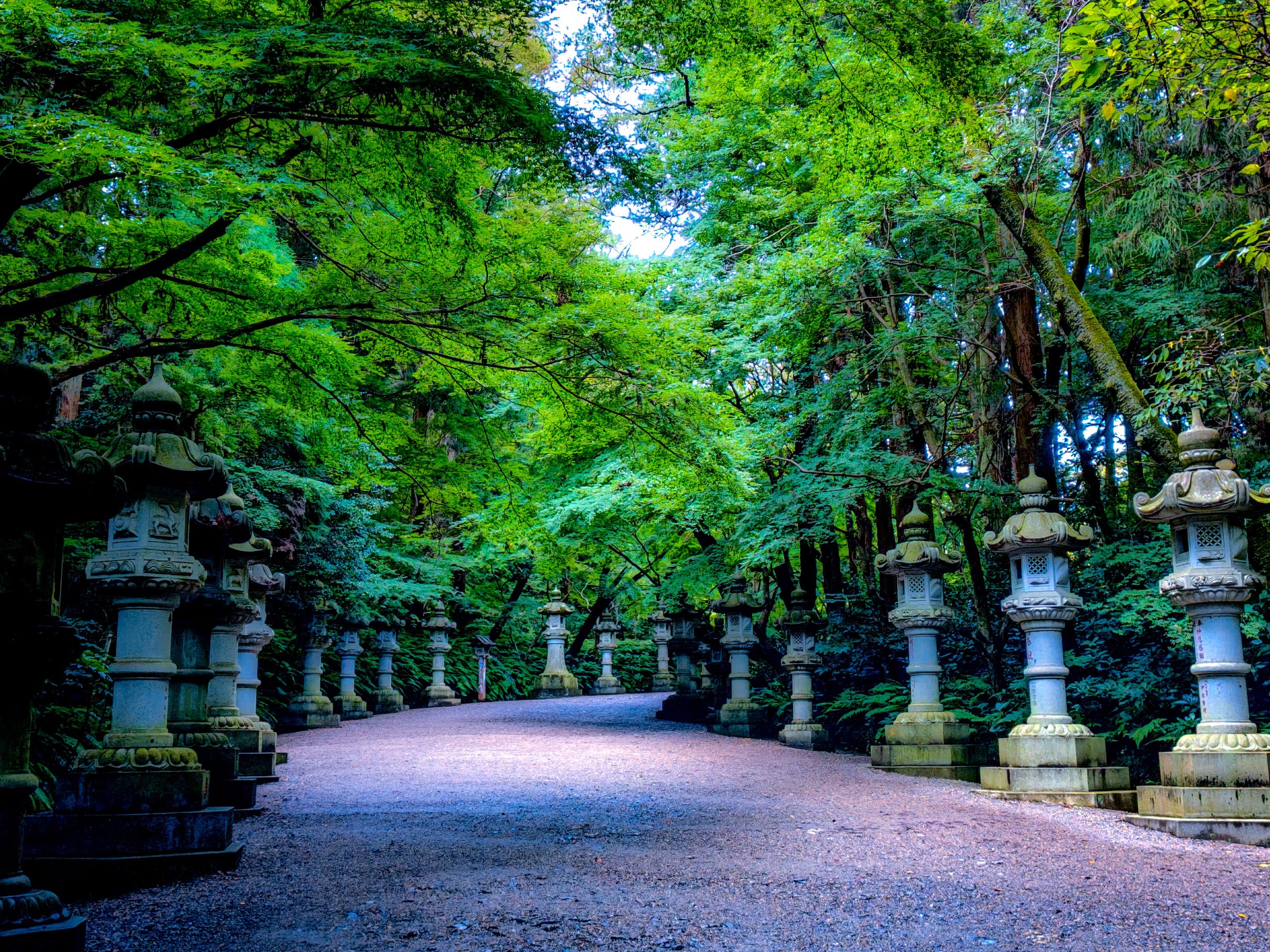 香取神宮の表参道