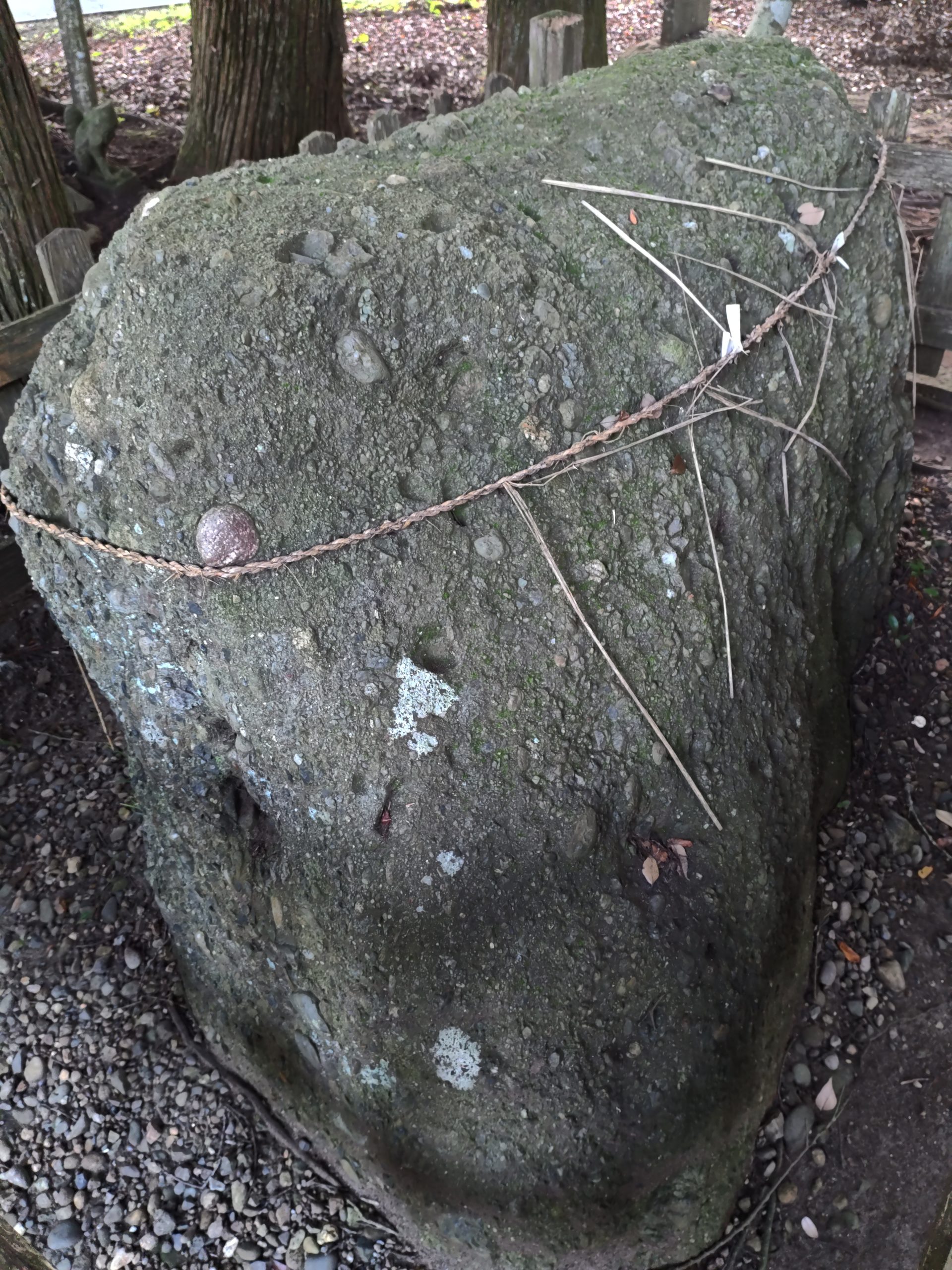 大洗磯前神社の烏帽子厳社に祀られる烏帽子岩