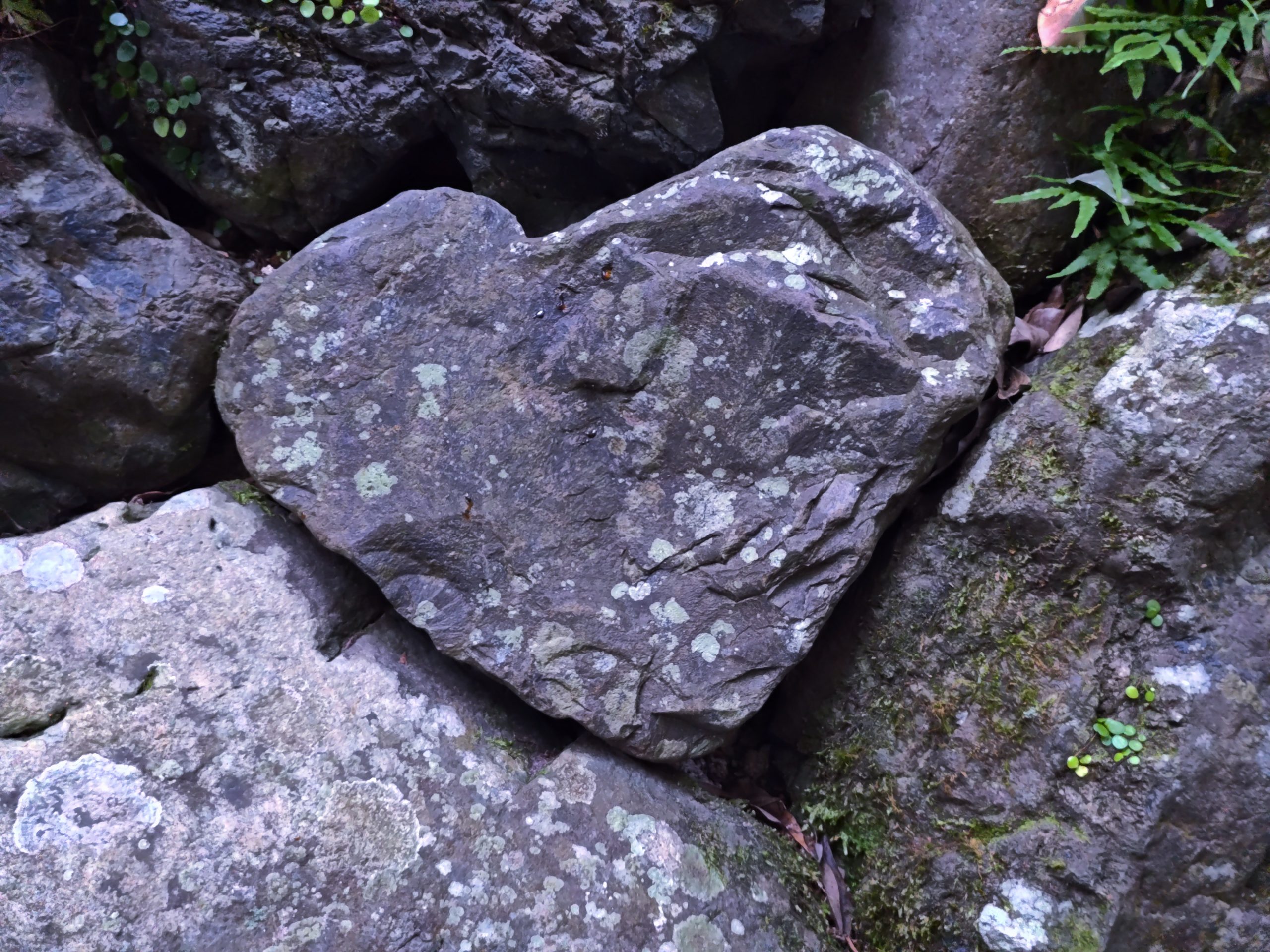 伊勢神宮のハートの石。