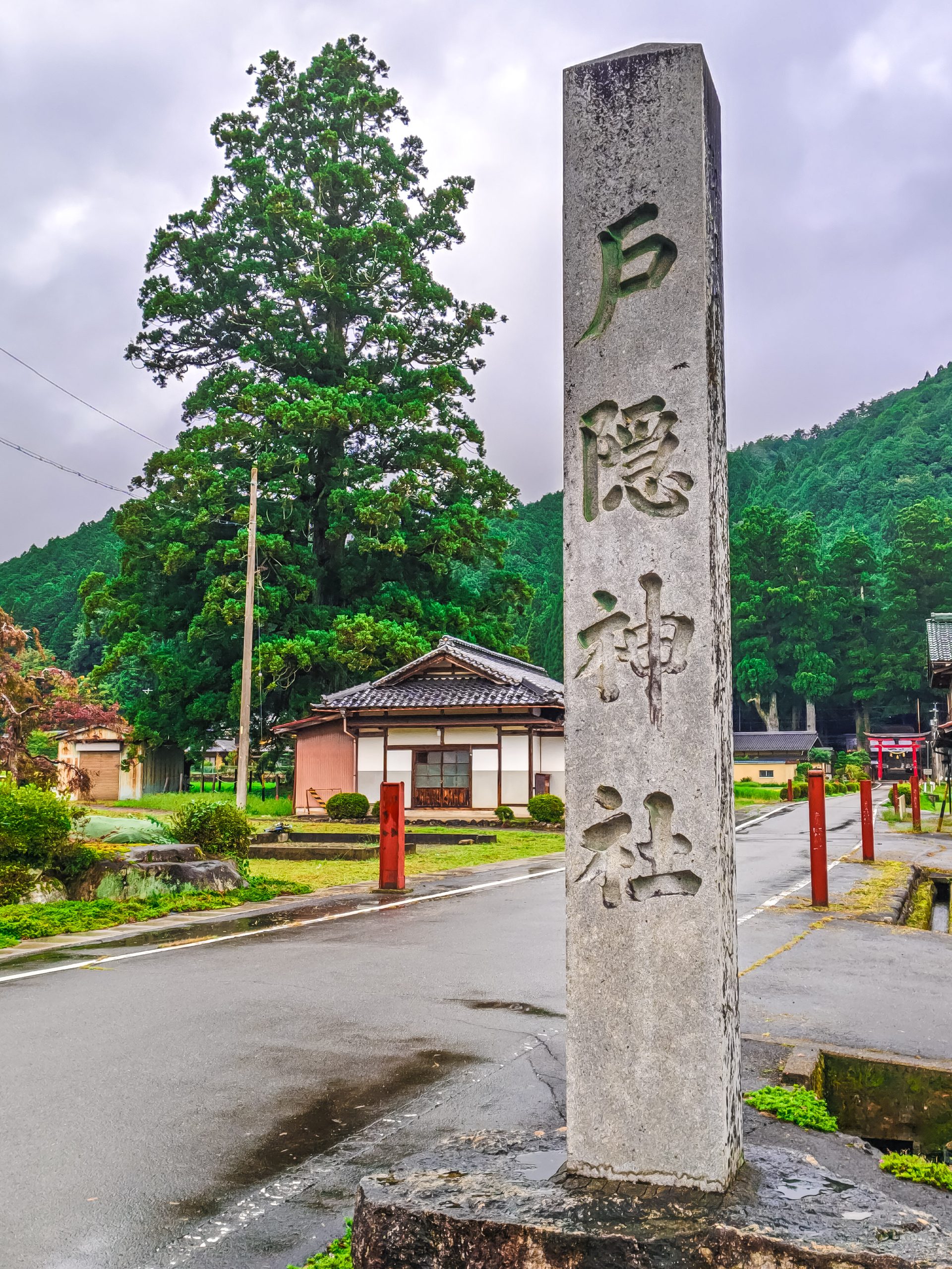 国道256号沿いに立つ岐阜県郡上市和良町の戸隠神社の社号標と一本杉
