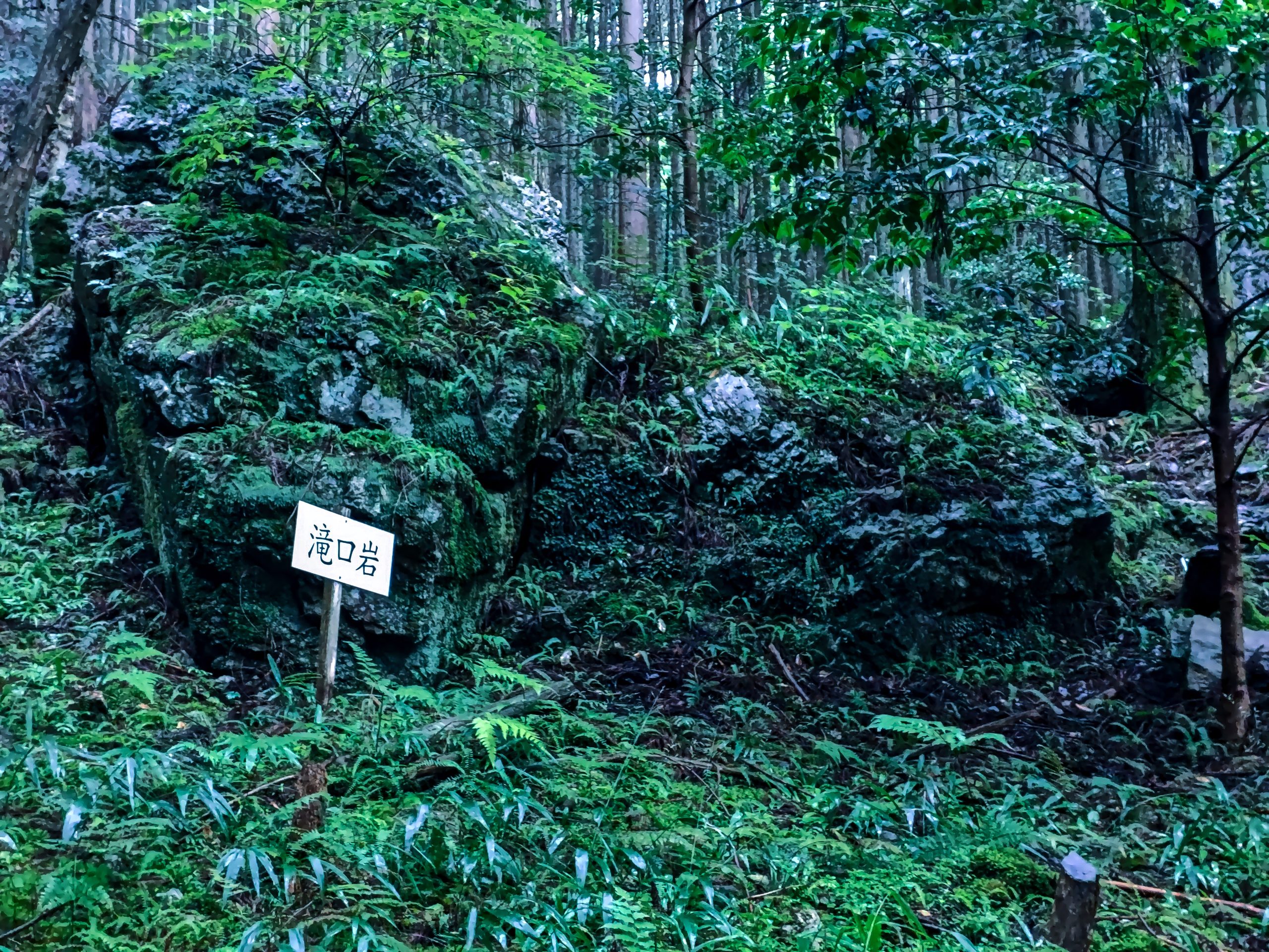 岐阜戸隠神社の滝口岩