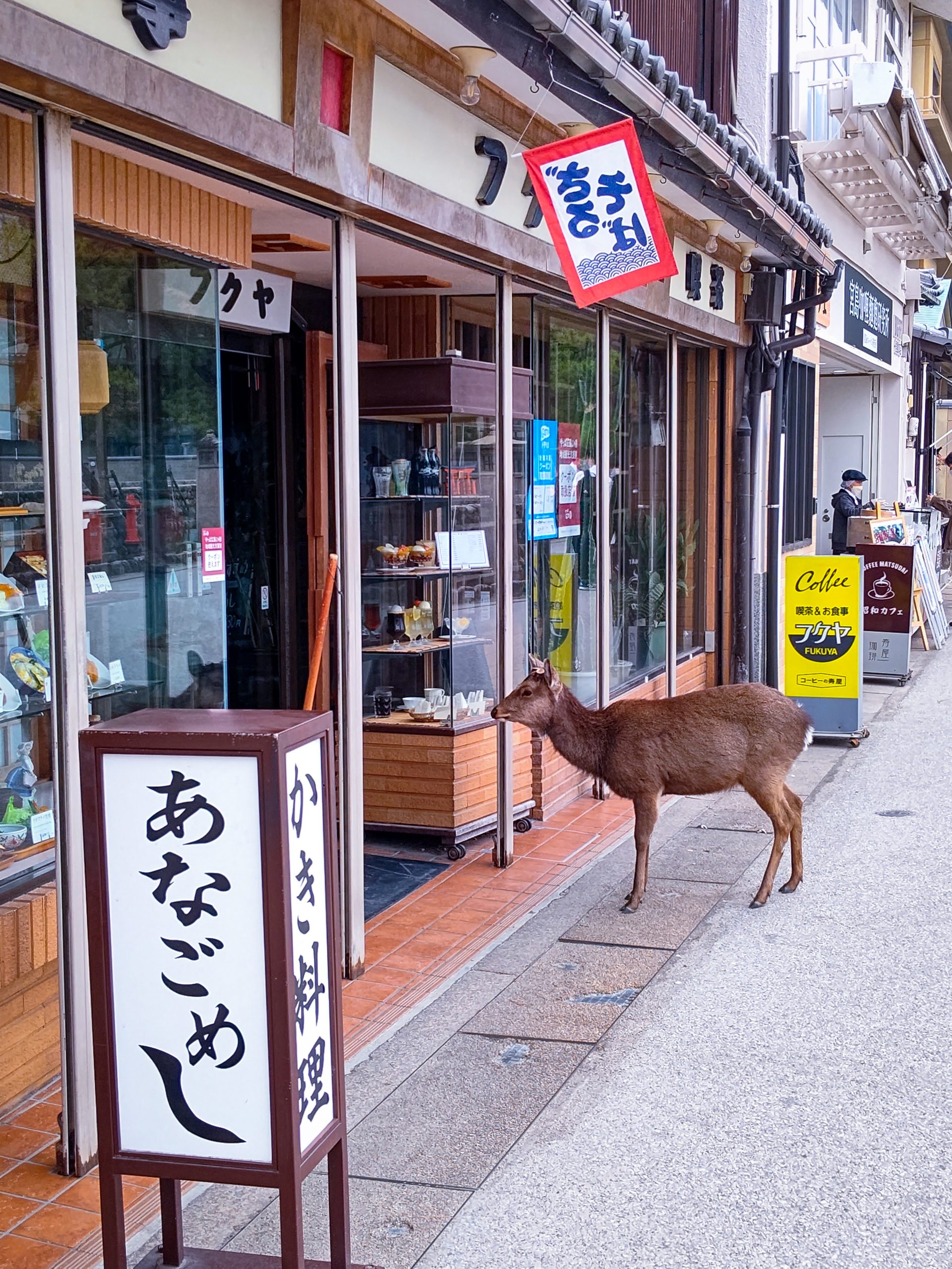 フクヤの入口前に立つ鹿